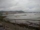 Imperia: emergenza maltempo. Le mareggiate portano canne e detriti sulle spiagge anche a Borgo Marina Imperia: emergenza maltempo. Le mareggiate portano canne e detriti sulle spiagge anche a Borgo Marina