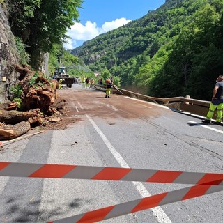 Rimosso l'albero e riaperta a senso unico alternato la statale della valle Roya tra Fontan e San Dalmazzo
