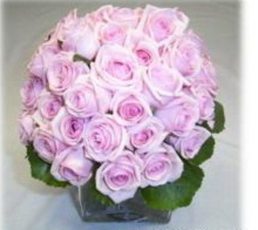 Festival 2010: il bouquet Sanremo sotto il segno della rosa