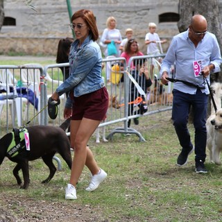 Torna 'Bordighera Dog Show', Mondini: "I proventi della manifestazione saranno devoluti in beneficenza per i cani meno fortunati" Torna 'Bordighera Dog Show', Mondini: "I proventi della manifestazione saranno devoluti in beneficenza per i cani meno fortunati"