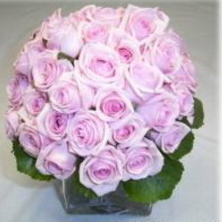 Festival 2010: il bouquet Sanremo sotto il segno della rosa