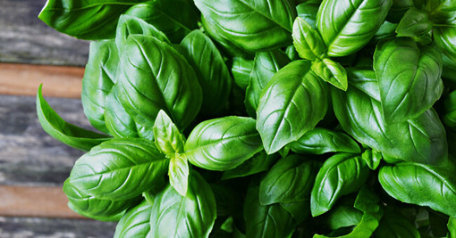 ‘Montecarlo gastronomie’: c’è anche la Liguria tra le massime eccellenze del gusto ‘Montecarlo gastronomie’: c’è anche la Liguria tra le massime eccellenze del gusto