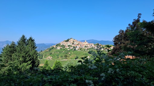 Bajardo, domenica la XVII edizione di "Antica...mente: festa della lavanda e delle essenze di montagna" Bajardo, domenica la XVII edizione di "Antica...mente: festa della lavanda e delle essenze di montagna"
