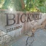 Bordighera, al Museo Bicknell visite speciali tra tesori nascosti, erbari storici e giornali della Belle Époque Bordighera, al Museo Bicknell visite speciali tra tesori nascosti, erbari storici e giornali della Belle Époque