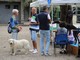 Domenica prossima anche l'Enpa di Sanremo e Imperia al 'Bordighera dog show' ai giardini Lowe