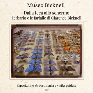 Bordighera, al Museo Bicknell l'apertura straordinaria per le Giornate Europee del Patrimonio tra erbari storici e farfalle d'epoca Bordighera, al Museo Bicknell l'apertura straordinaria per le Giornate Europee del Patrimonio tra erbari storici e farfalle d'epoca
