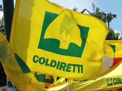 Sanremo, Coldiretti incontra i tre candidati a sindaco: priorità e proposte in campo agricolo