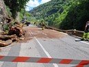 Rimosso l'albero e riaperta a senso unico alternato la statale della valle Roya tra Fontan e San Dalmazzo Rimosso l'albero e riaperta a senso unico alternato la statale della valle Roya tra Fontan e San Dalmazzo