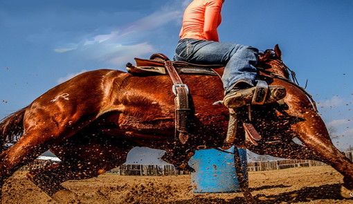 'Barrel on the beach’ ad Arma di Taggia 'Barrel on the beach’ ad Arma di Taggia