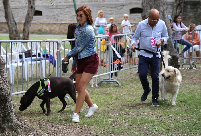 Torna 'Bordighera Dog Show', Mondini: "I proventi della manifestazione saranno devoluti in beneficenza per i cani meno fortunati" Torna 'Bordighera Dog Show', Mondini: "I proventi della manifestazione saranno devoluti in beneficenza per i cani meno fortunati"