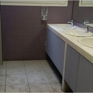 Riapre il mercato coperto a Ventimiglia, Scullino: "Bagni pubblici sporchi, è inaccettabile" (Foto)