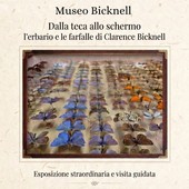 Bordighera, al Museo Bicknell l'apertura straordinaria per le Giornate Europee del Patrimonio tra erbari storici e farfalle d'epoca Bordighera, al Museo Bicknell l'apertura straordinaria per le Giornate Europee del Patrimonio tra erbari storici e farfalle d'epoca