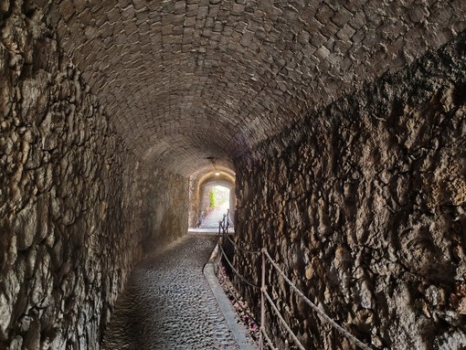 Bordighera, sopralluogo sul Beodo: al via pulizia e nuovi interventi per valorizzare lo storico percorso Bordighera, sopralluogo sul Beodo: al via pulizia e nuovi interventi per valorizzare lo storico percorso