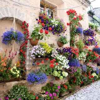 Turismo, al via la campagna ‘Borghi in Fiore’, il Contest social per eleggere il borgo fiorito più bello della Liguria