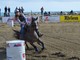 Arma di Taggia: grande successo per la prima giornata del 'Barrel on the beach', al via oggi le gare di Pole Banding e Barrel Racing (Foto e Video)