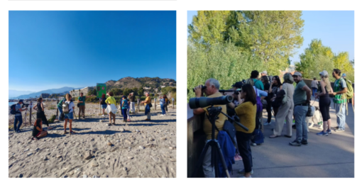 ‘Birdwatching d’autunno’ all'Oasi del Nervia: avvistate oltre trenta specie (Foto)