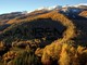 Mendatica: domenica 15 novembre escursione nel 'Bosco delle Navette' organizzata dal Cte Alpi Liguri e Pro Loco