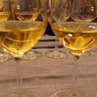 Bordighera, il 29 gennaio inizia il corso di I livello per aspiranti sommelier di Aspi Riviera dei Fiori