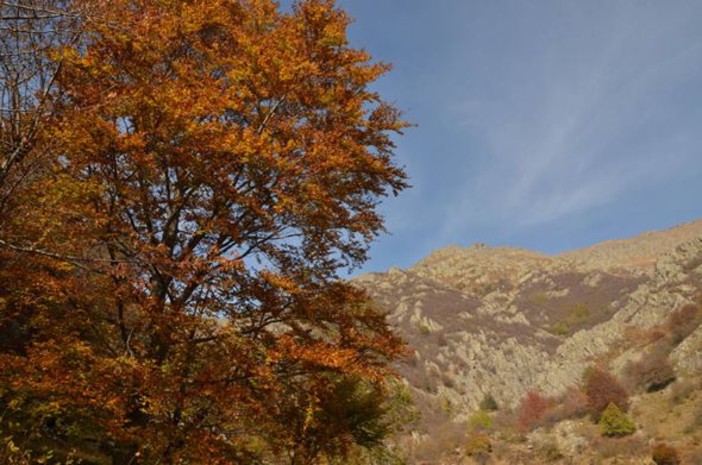 Tutti gli manifestazioni e novità di sabato 18 e domenica 19 ottobre nel Parco 'Alpi Liguri'