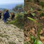 A Pompeiana arriva il bio-blitz: cittadini e scienziati insieme per mappare flora e fauna della ZSC