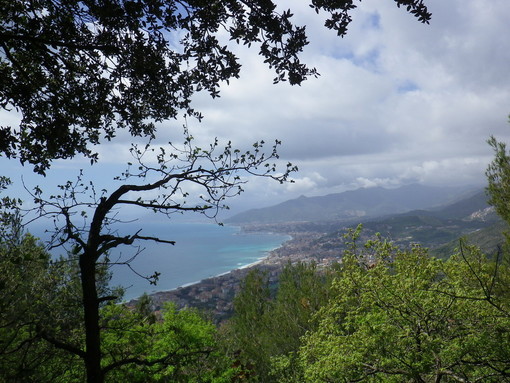 Martedì prossimo, escursione notturna nell’anello di Borgio Verezzi con guida ambientale escursionistica associata AIGAE Martedì prossimo, escursione notturna nell’anello di Borgio Verezzi con guida ambientale escursionistica associata AIGAE