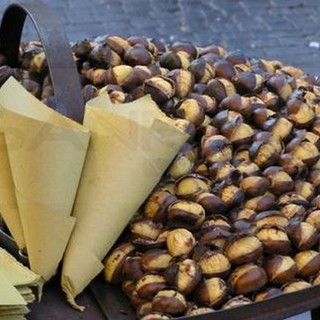 Sanremo: ecco tutte le manifestazioni del 2015 per le quali richiedere autorizzazioni temporanee Sanremo: ecco tutte le manifestazioni del 2015 per le quali richiedere autorizzazioni temporanee