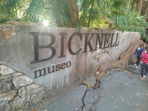 Bordighera, al Museo Bicknell visite speciali tra tesori nascosti, erbari storici e giornali della Belle Époque Bordighera, al Museo Bicknell visite speciali tra tesori nascosti, erbari storici e giornali della Belle Époque