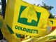 Brexit, Coldiretti: “Senza accordo via libera a falso Made in Italy”
