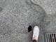 Profonda e pericolosa buca in Via Gibelli ad Imperia, PD: "Auspichiamo un immediato intervento" Profonda e pericolosa buca in Via Gibelli ad Imperia, PD: "Auspichiamo un immediato intervento"