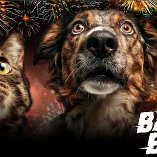 Capodanno e sicurezza, l’appello di Nova Kronos: “I botti sono un’abitudine anacronistica, servono cultura e prevenzione”