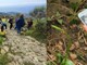 A Pompeiana arriva il bio-blitz: cittadini e scienziati insieme per mappare flora e fauna della ZSC A Pompeiana arriva il bio-blitz: cittadini e scienziati insieme per mappare flora e fauna della ZSC