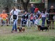 Al via domenica la seconda edizione di 'Bordighera Dog Show': l'expo canina in programma ai giardini Lowe (Foto) Al via domenica la seconda edizione di 'Bordighera Dog Show': l'expo canina in programma ai giardini Lowe (Foto)