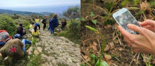 A Pompeiana arriva il bio-blitz: cittadini e scienziati insieme per mappare flora e fauna della ZSC