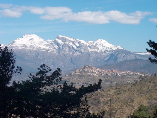 Bajardo: processionaria e cacciatori, la secca risposta dell'ass. Moriano ad un residente Bajardo: processionaria e cacciatori, la secca risposta dell'ass. Moriano ad un residente