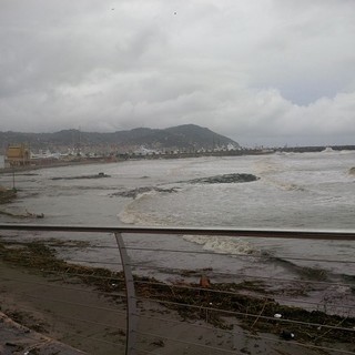 Imperia: emergenza maltempo. Le mareggiate portano canne e detriti sulle spiagge anche a Borgo Marina Imperia: emergenza maltempo. Le mareggiate portano canne e detriti sulle spiagge anche a Borgo Marina
