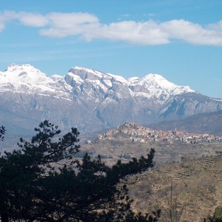 Bajardo: processionaria e cacciatori, la secca risposta dell'ass. Moriano ad un residente Bajardo: processionaria e cacciatori, la secca risposta dell'ass. Moriano ad un residente