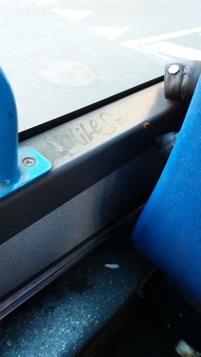 Scarafaggi su un bus della RT, l'indignata segnalazione di un lettore (foto)