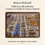 Bordighera, al Museo Bicknell l'apertura straordinaria per le Giornate Europee del Patrimonio tra erbari storici e farfalle d'epoca