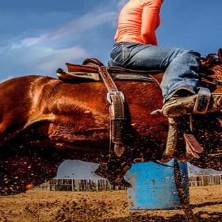 'Barrel on the beach’ ad Arma di Taggia
