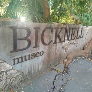 Bordighera, al Museo Bicknell visite speciali tra tesori nascosti, erbari storici e giornali della Belle Époque