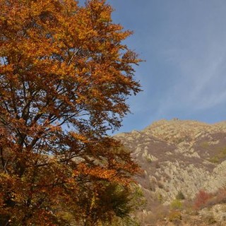 Tutti gli manifestazioni e novità di sabato 18 e domenica 19 ottobre nel Parco 'Alpi Liguri' Tutti gli manifestazioni e novità di sabato 18 e domenica 19 ottobre nel Parco 'Alpi Liguri'