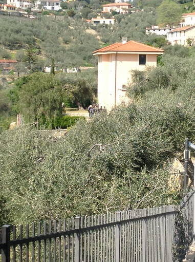 Imperia: finanziamento illecito al partito ed abuso edilizio, risulterebbero coinvolti Claudio Scajola e Gianfranco Gaggero. Blitz a casa dell'ex ministro Imperia: finanziamento illecito al partito ed abuso edilizio, risulterebbero coinvolti Claudio Scajola e Gianfranco Gaggero. Blitz a casa dell'ex ministro