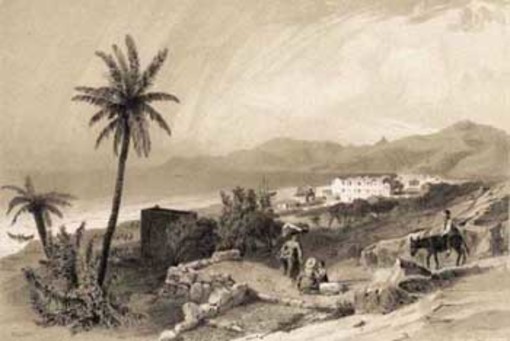 Opera di Carlo J. Billmark