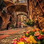 Caruggi in Fiore a Dolceacqua