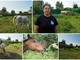 Taggia: Sabina Camarda dà una speranza ai cavalli maltrattati, vi raccontiamo la sua storia (Videoservizio)
