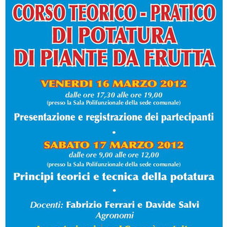 Taggia: sabato prossimo, un corso di potatura degli alberi da frutta per operatori agricoli Taggia: sabato prossimo, un corso di potatura degli alberi da frutta per operatori agricoli