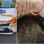 Vallecrosia, colpo di calore: cane salvato da Croce Rossa di Bordighera e Ambulanze Veterinarie Odv (Foto) Vallecrosia, colpo di calore: cane salvato da Croce Rossa di Bordighera e Ambulanze Veterinarie Odv (Foto)
