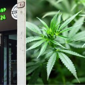 Canapa legale, stop alla vendita in tutta Italia: a rischio decine di attività in Riviera. “Colpiti e feriti da una decisione ingiusta”