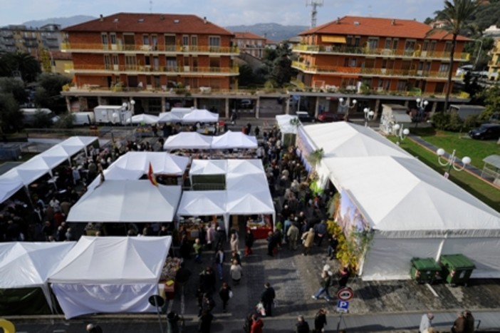 San Bartolomeo al Mare: tutto pronto per la Candelora, il mercato tradizionale all'aperto più caratteristico del ponente ligure San Bartolomeo al Mare: tutto pronto per la Candelora, il mercato tradizionale all'aperto più caratteristico del ponente ligure