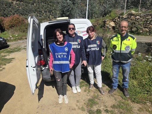 Badalucco, cani maltrattati salvati da Ambulanze Veterinarie Odv e autorità (Foto)